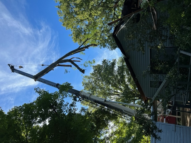 G&H Tree Service Image